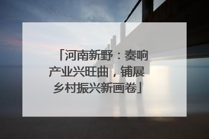河南新野：奏响产业兴旺曲，铺展乡村振兴新画卷