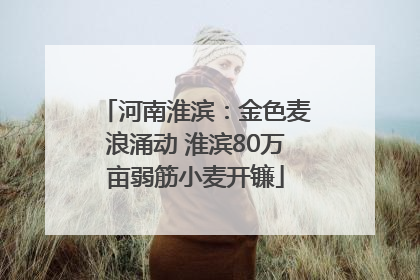 河南淮滨：金色麦浪涌动 淮滨80万亩弱筋小麦开镰