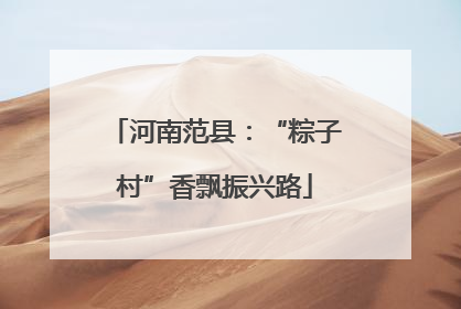 河南范县：“粽子村”香飘振兴路