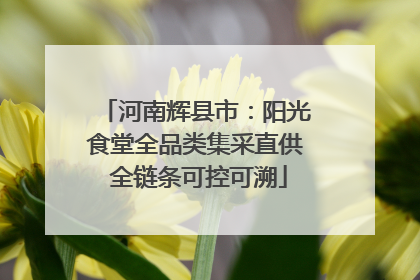 河南辉县市：阳光食堂全品类集采直供 全链条可控可溯
