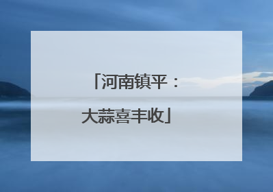 河南镇平：大蒜喜丰收