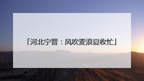 河北宁晋：风吹麦浪夏收忙