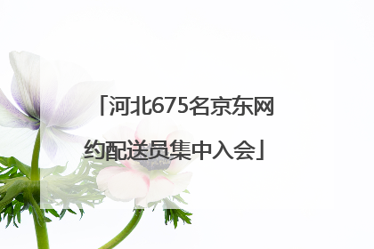河北675名京东网约配送员集中入会