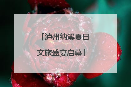 泸州纳溪夏日文旅盛宴启幕