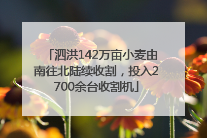 泗洪142万亩小麦由南往北陆续收割，投入2700余台收割机