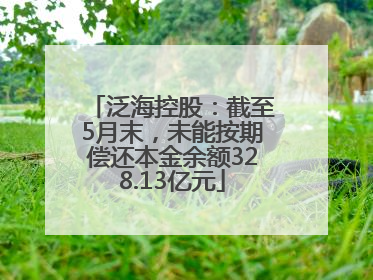 泛海控股：截至5月末，未能按期偿还本金余额328.13亿元