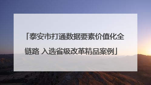 泰安市打通数据要素价值化全链路 入选省级改革精品案例