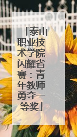 泰山职业技术学院闪耀省赛：青年教师勇夺一等奖