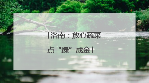 洛南：放心蔬菜点“绿”成金