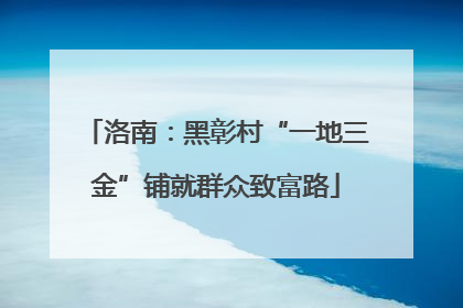 洛南：黑彰村“一地三金”铺就群众致富路