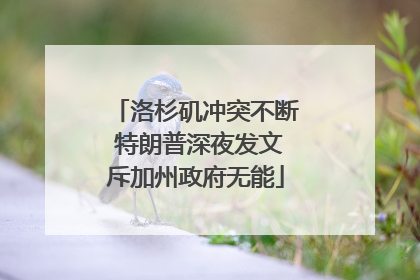 洛杉矶冲突不断 特朗普深夜发文斥加州政府无能