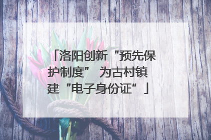洛阳创新“预先保护制度” 为古村镇建“电子身份证”