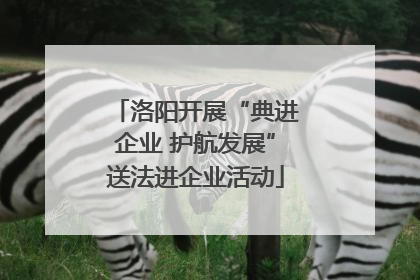 洛阳开展“典进企业 护航发展”送法进企业活动
