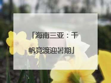 海南三亚：千帆竞渡迎暑期