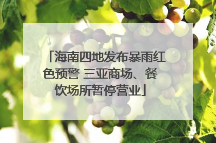 海南四地发布暴雨红色预警 三亚商场、餐饮场所暂停营业