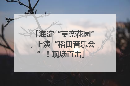 海淀“莫奈花园”，上演“稻田音乐会”！现场直击