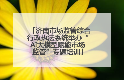 济南市场监管综合行政执法系统举办“AI大模型赋能市场监管”专题培训