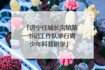 济宁任城长沟镇第一书记工作队举行青少年科普研学