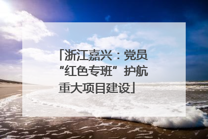 浙江嘉兴：党员“红色专班”护航重大项目建设