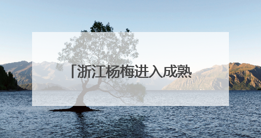 浙江杨梅进入成熟上市期 今年总产量预计74万吨
