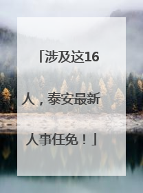 涉及这16人，泰安最新人事任免！