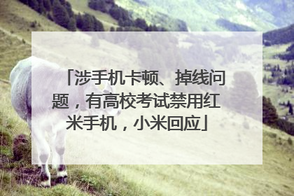 涉手机卡顿、掉线问题，有高校考试禁用红米手机，小米回应
