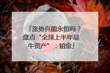 涨势真能永恒吗？盘点“全球上半年最牛资产”：铂金