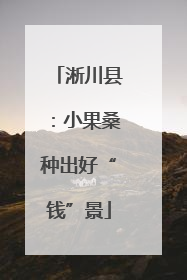 淅川县：小果桑种出好“钱”景