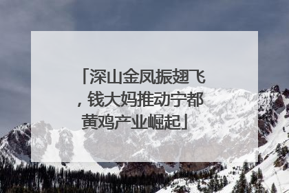深山金凤振翅飞，钱大妈推动宁都黄鸡产业崛起