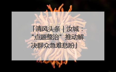 清风头条｜汝城：“点题整治”推动解决群众急难愁盼