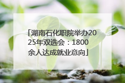 湖南石化职院举办2025年双选会：1800余人达成就业意向