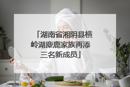 湖南省湘阴县横岭湖麋鹿家族再添三名新成员