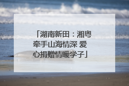 湖南新田：湘粤牵手山海情深 爱心捐赠情暖学子