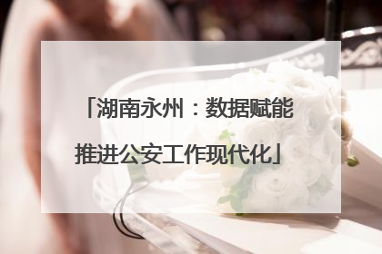 湖南永州：数据赋能推进公安工作现代化