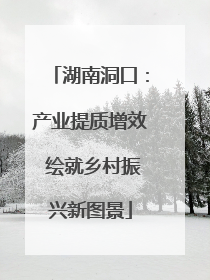 湖南洞口：产业提质增效 绘就乡村振兴新图景