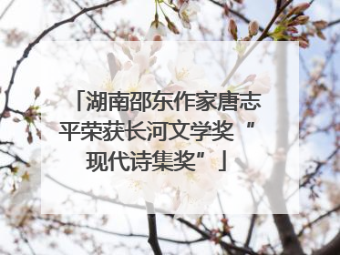 湖南邵东作家唐志平荣获长河文学奖“现代诗集奖”