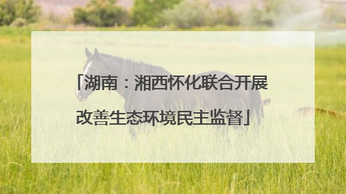 湖南：湘西怀化联合开展改善生态环境民主监督