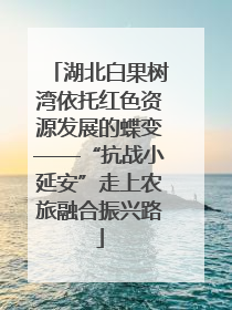 湖北白果树湾依托红色资源发展的蝶变——“抗战小延安”走上农旅融合振兴路