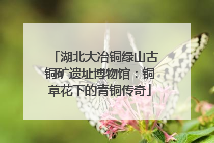 湖北大冶铜绿山古铜矿遗址博物馆：铜草花下的青铜传奇