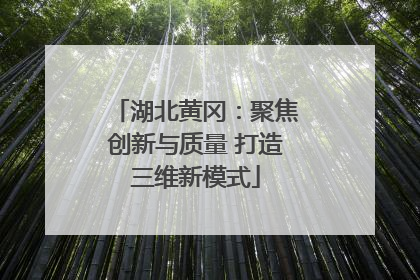 湖北黄冈：聚焦创新与质量 打造三维新模式