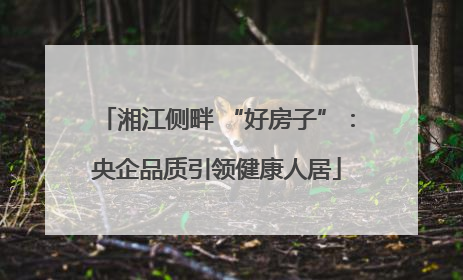 湘江侧畔 “好房子”：央企品质引领健康人居