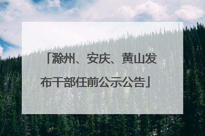 滁州、安庆、黄山发布干部任前公示公告