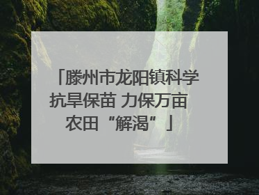 滕州市龙阳镇科学抗旱保苗 力保万亩农田“解渴”