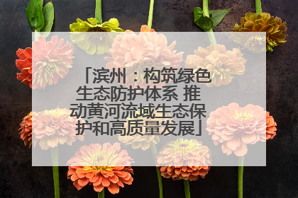 滨州：构筑绿色生态防护体系 推动黄河流域生态保护和高质量发展