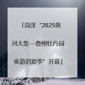 菏泽“2025黄河大集—曹州牡丹园夜游消夏季”开幕