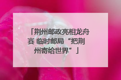 荆州邮政亮相龙舟赛 临时邮局“把荆州寄给世界”