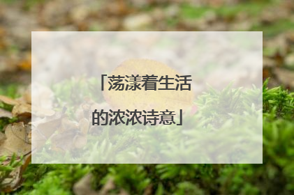 荡漾着生活的浓浓诗意