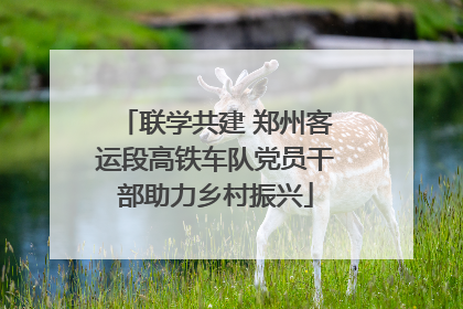 联学共建 郑州客运段高铁车队党员干部助力乡村振兴