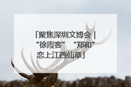 聚焦深圳文博会｜“徐霞客”“郑和”恋上江西仙草