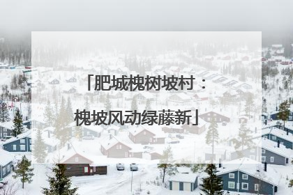 肥城槐树坡村：槐坡风动绿藤新